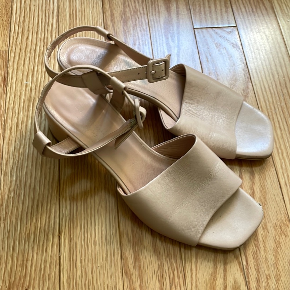 Everlane Tan Strappy Sandals size 8